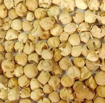 Buy Sri herbal Paneer Ka Phool Online | Health Benefits and Uses